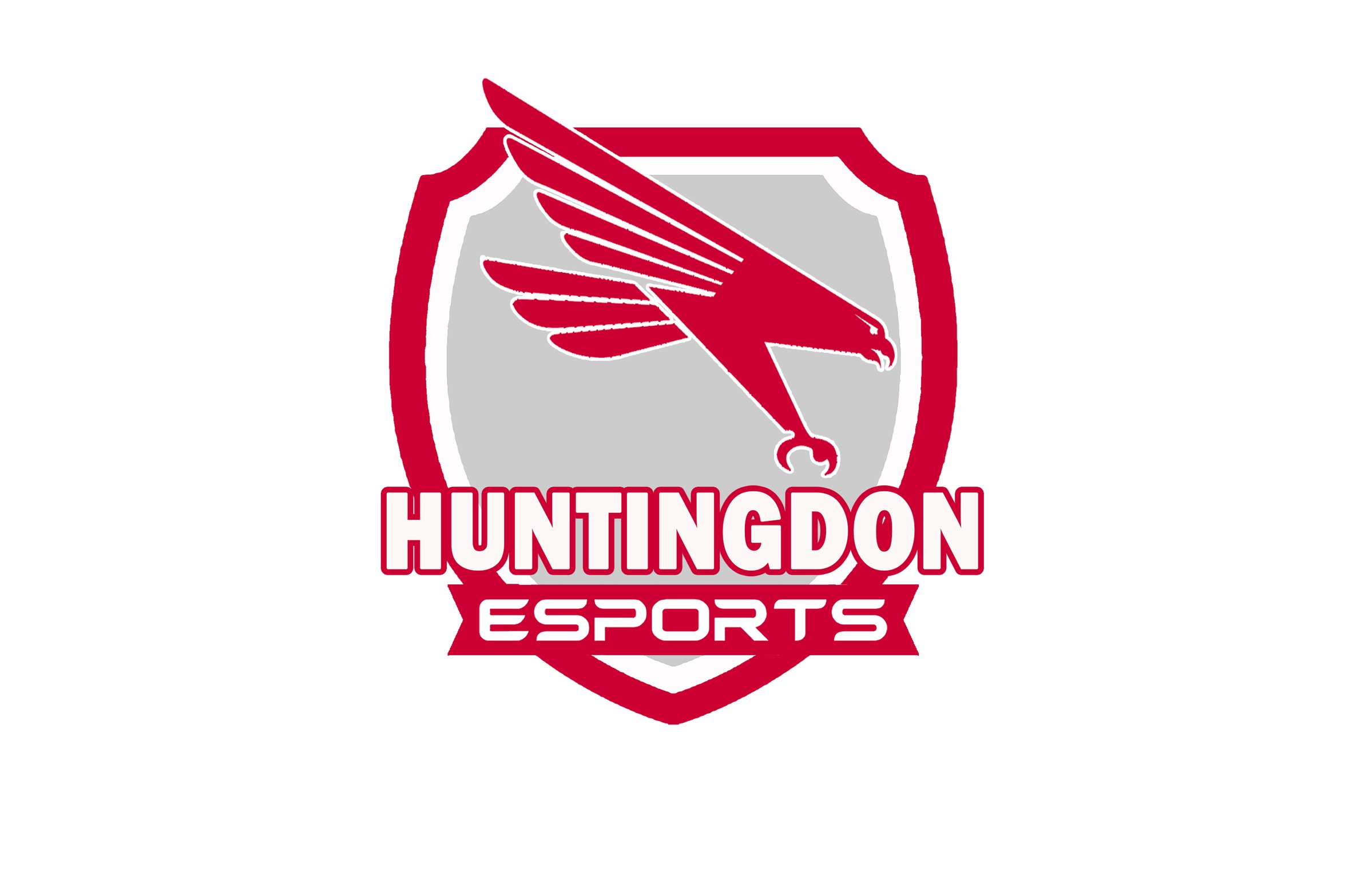 Hawks Valorant Team Finishes in 3rd Place