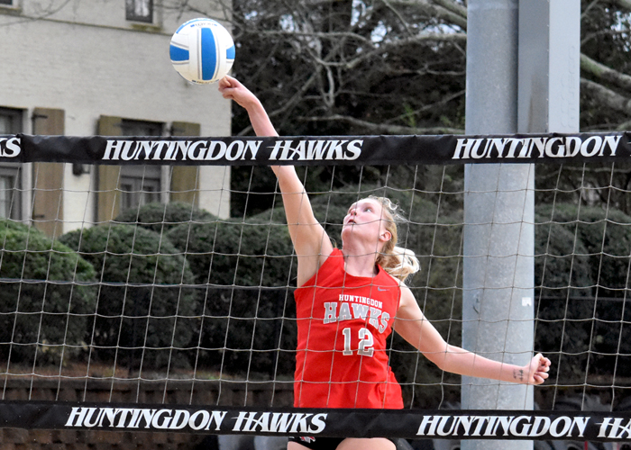 Hawks fall to Spring Hill