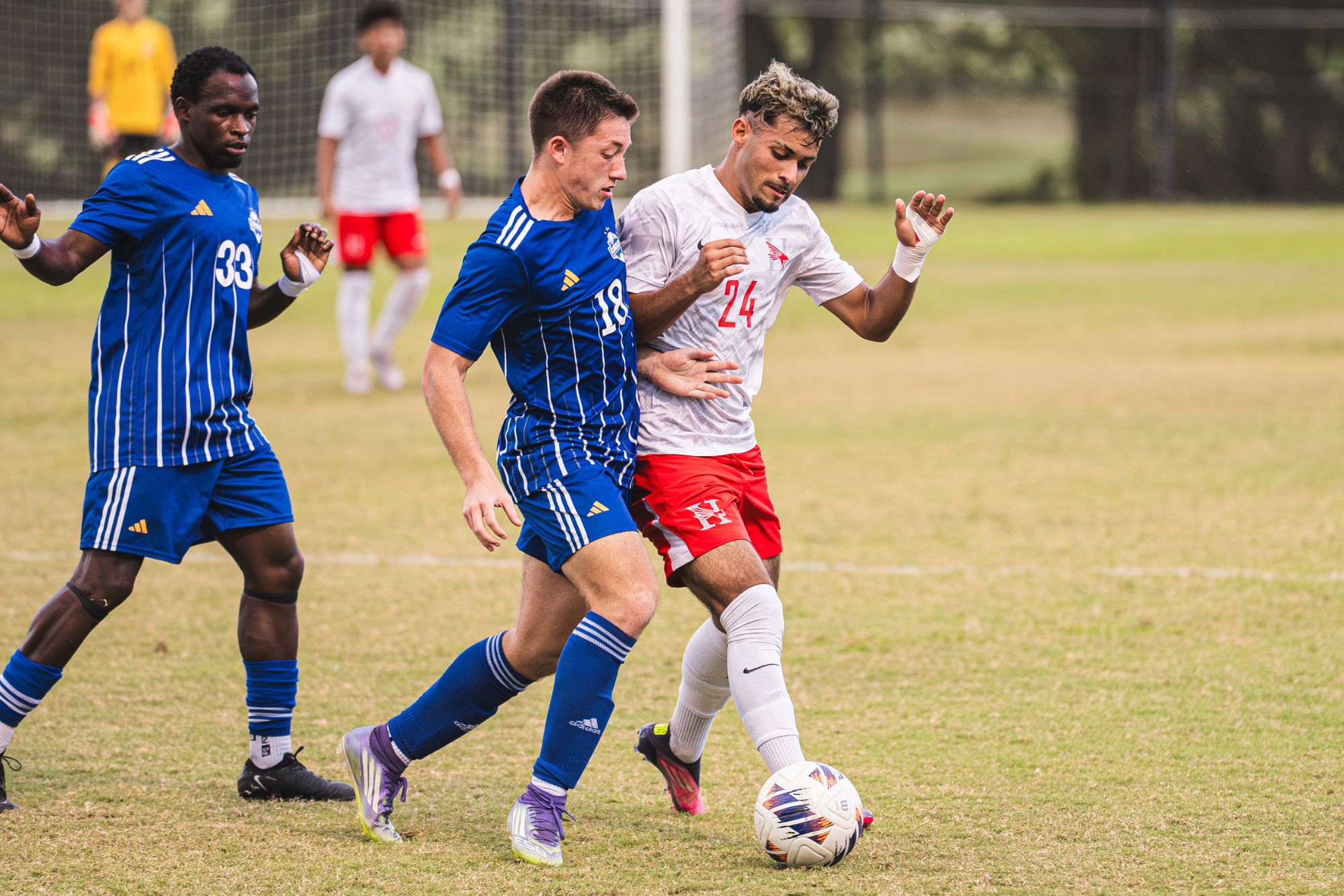 Hawks Fall To Covenant At Home