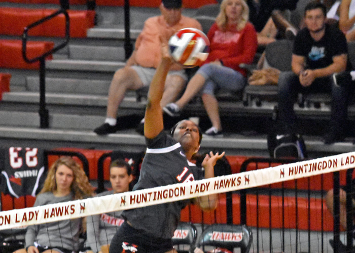 Hawks down Ferrum, take North Division leader Averett to 5 games