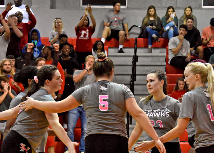 Hawks end season in USA South Tournament quarterfinals